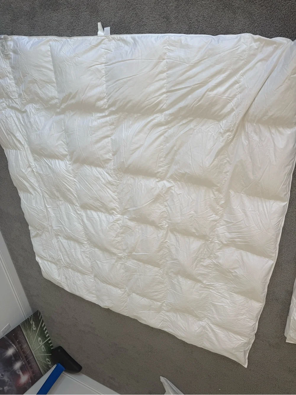 Legends Hotel Alberta medium warmth down comforter